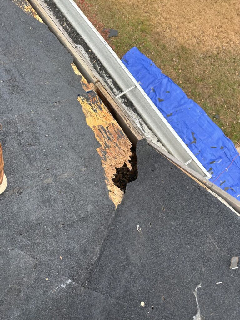 Rotted roof decking found at the roof edge during tear-off in Stafford, VA